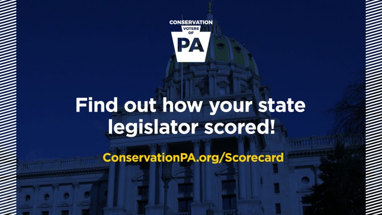 Find out how your legislator scored! 