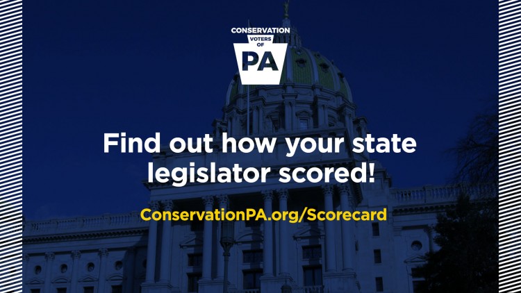 Find out how your legislator scored!