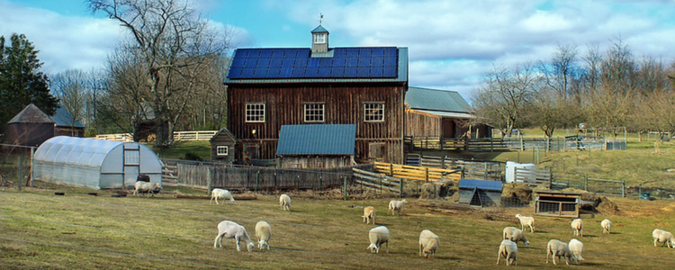 PA farm with solar panels