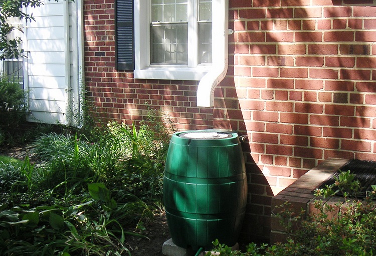 Rain barrel