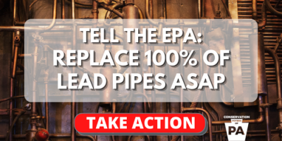 Tell the EPA: Replace 100% of Lead Pipes ASAP!
