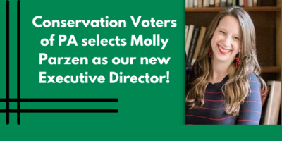 CVPA selects Molly Parzen as our next Executive Director!