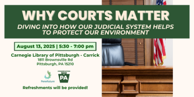 Why Courts Matter: Diving into How Our Judicial System Helps to Protect Our Environment