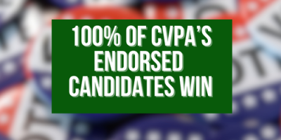 2025 Election Results