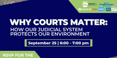 Why Courts Matter: How Our Judicial System Protects Our Environment